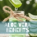 Benefits of Aloe Vera on Face Overnight