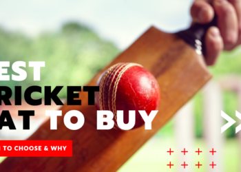 Best Cricket Bat to Buy