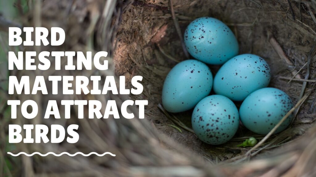 Top 10 Bird Nesting Materials to Attract all Birds 8 Billion Voices