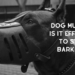 can dog muzzle prevent a dog from barking?
