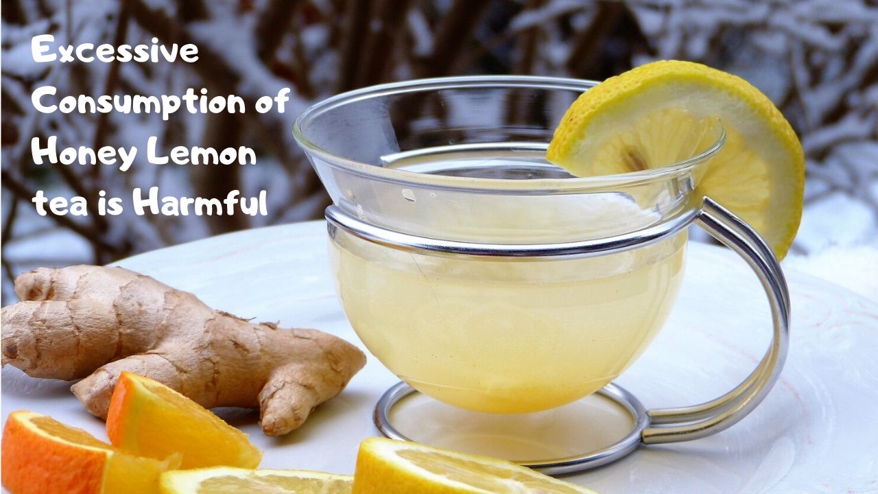 Honey Lemon Tea side effect to pregnant women