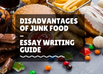 disadvantages of junk food essay