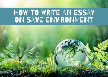 How to Write a Save Environment Essay