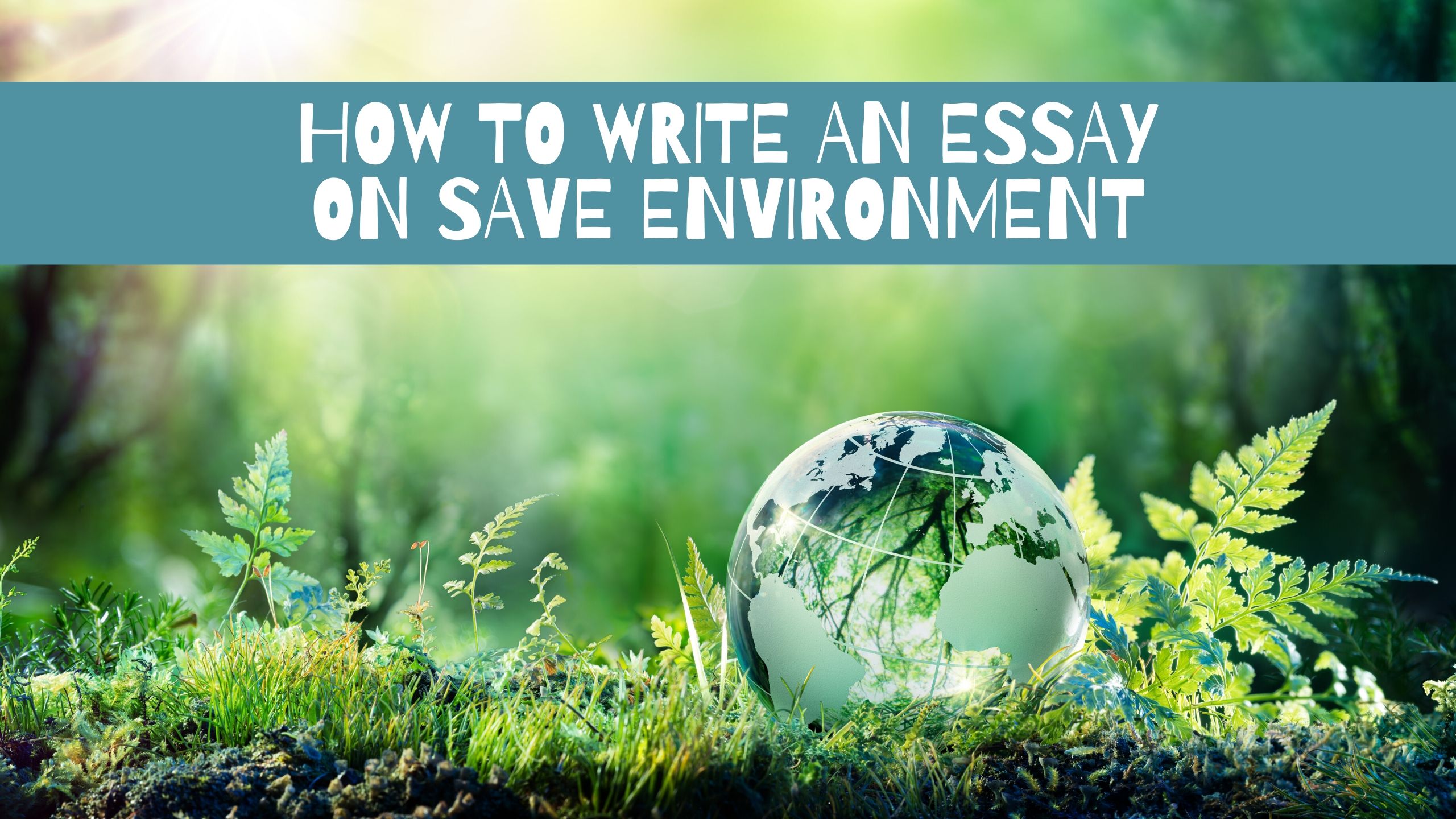 environment essay writing