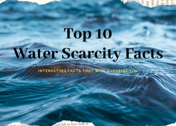 Water Scarcity Facts That Will Surprise You
