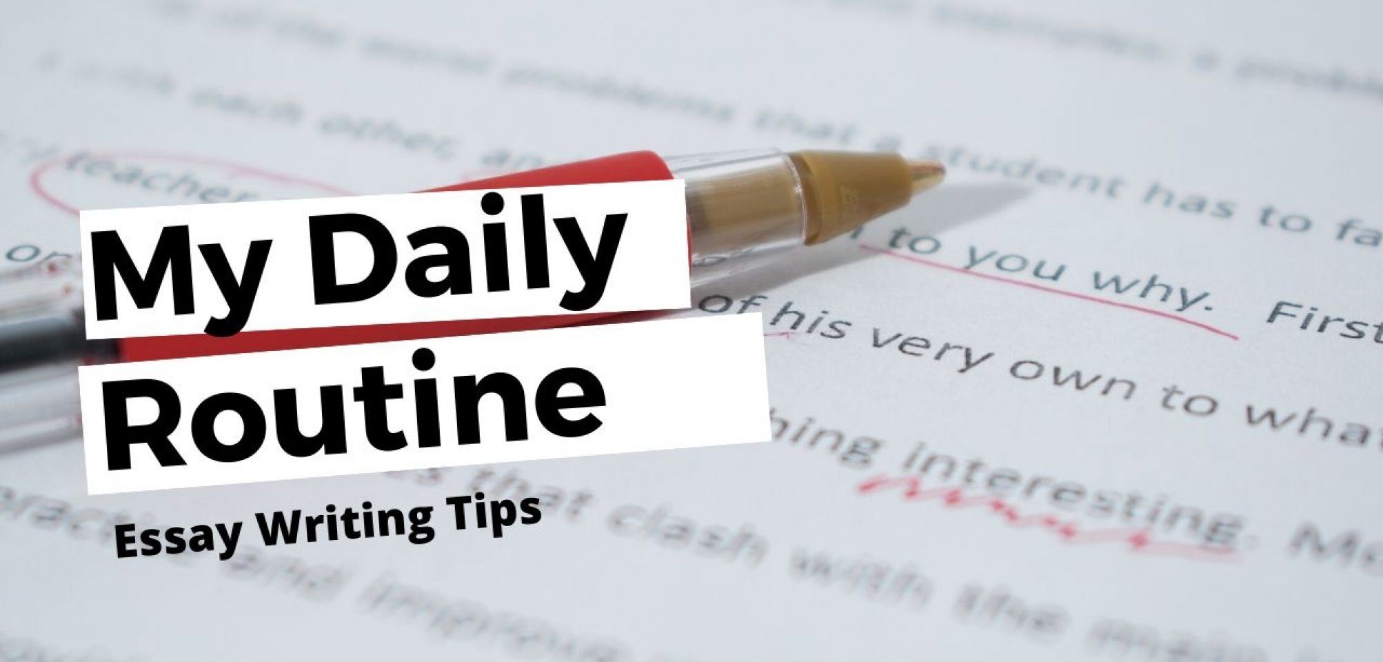 essay about your daily routine