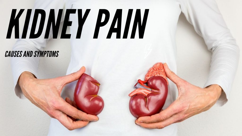 How Long Does Kidney Pain Last Causes Symptoms And Healing