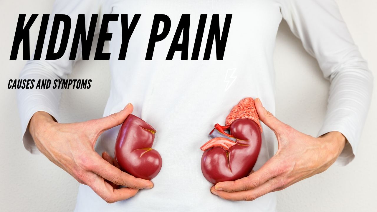 Kidney Pain - Causes and Symptoms