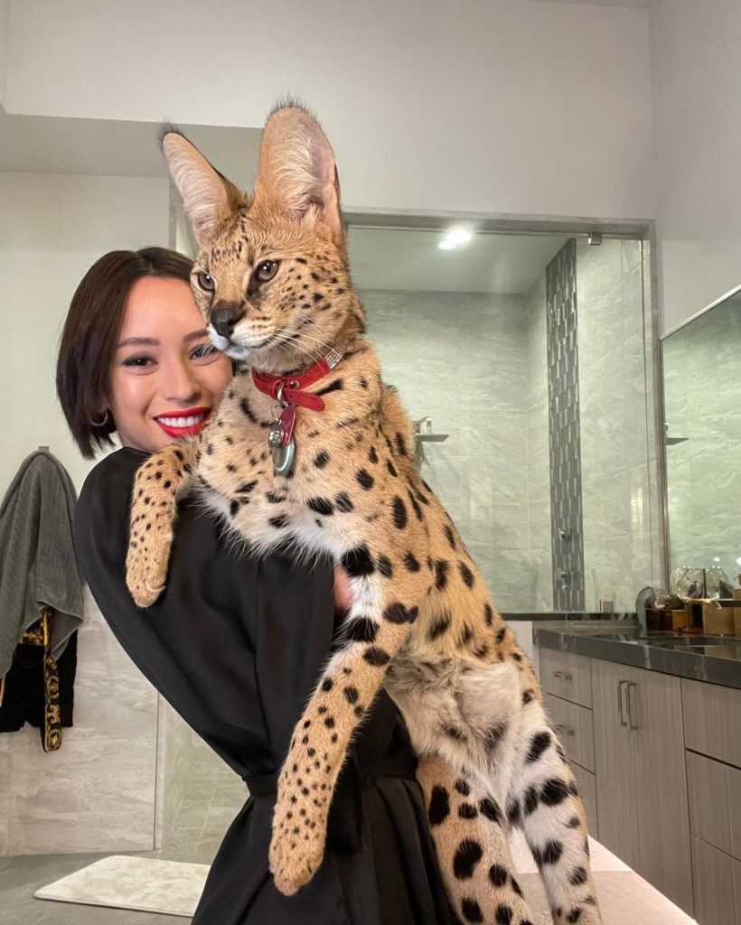 Veronica Perasso with her cat