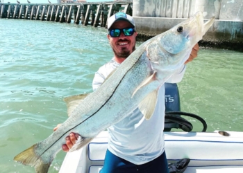 The Life of a Celebrity Kid- William True Stevenson