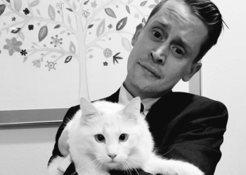 Quinn Culkin's brother with his cat