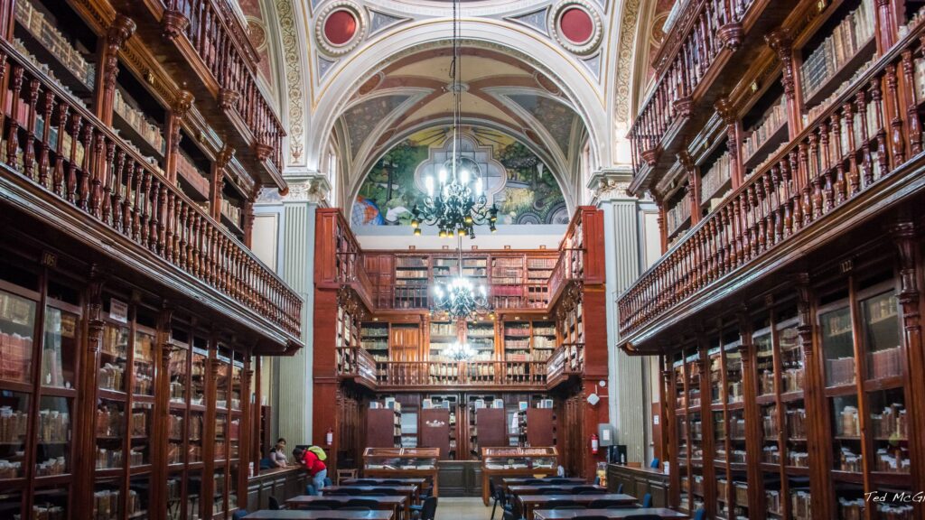 Morelia public library