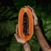 Papaya during periods