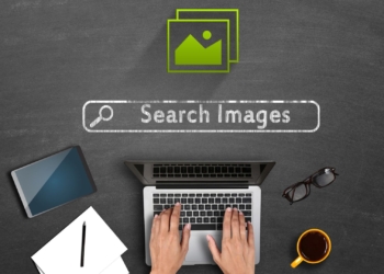 Best Reverse Image Search Facilities You Can Use to Find Similar Images