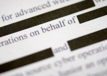 The Role of Data Redaction in Safeguarding Customer Information for Insurance Providers