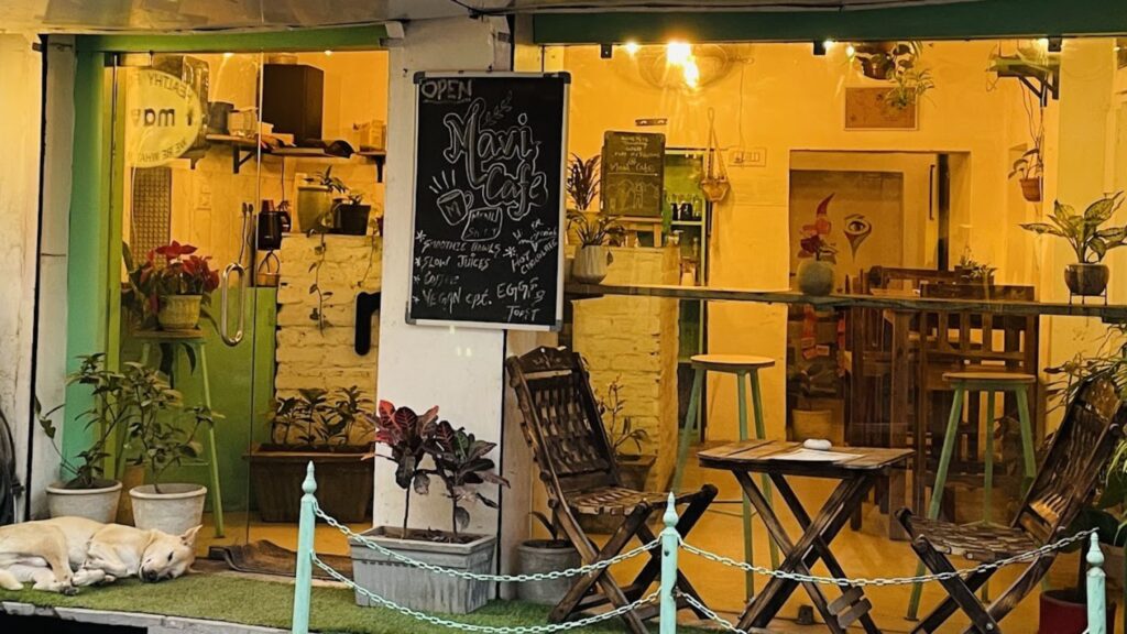 An outside image of Mavi cafe, one of the best cafes in Udaipur.