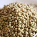 brown seeds