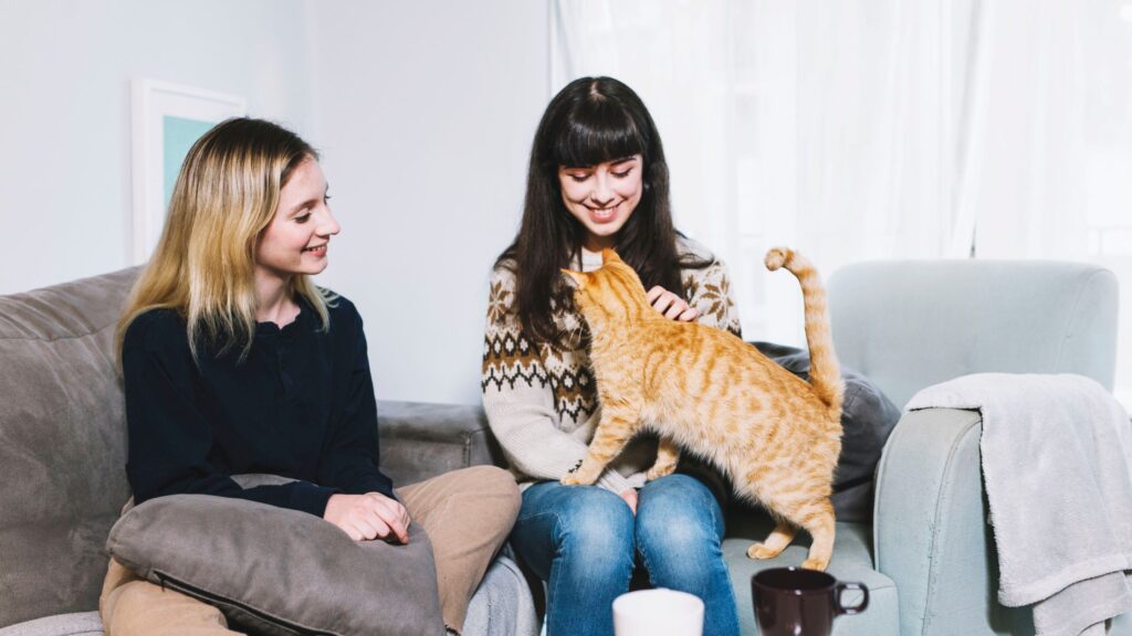 Two women sitting on a sofa pampering a brown colored cat.