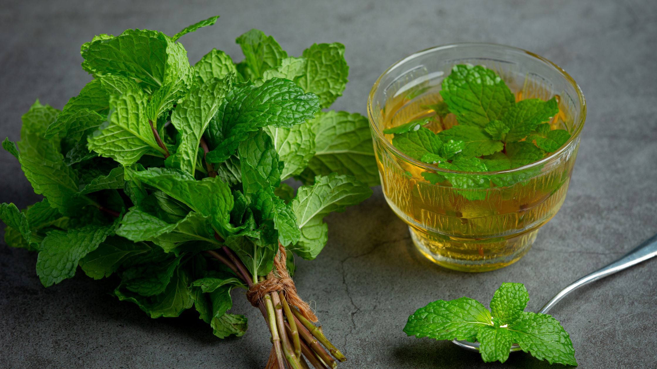 Mint placed ona grey colored table with tea in the glass.