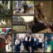 Collage of movies like Forrest Gump