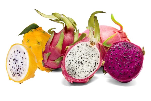 Dragon Fruit Varieties