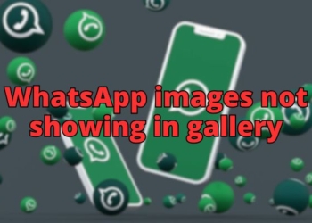Whatsapp Images Not Showing in gallery