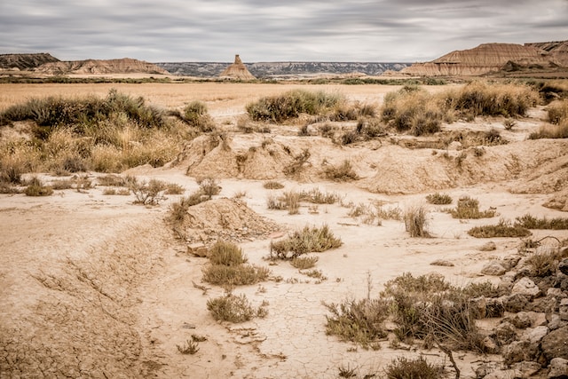 soil erosion 