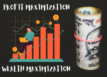 profit maximization vs wealth maximization