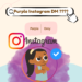 Purple Instagram DM: All about this Testing Feature