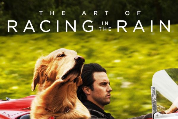 The Art of Racing in the Rain