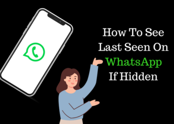 How To See Last Seen On WhatsApp If Hidden in 2024