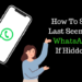 How To See Last Seen On WhatsApp If Hidden in 2024