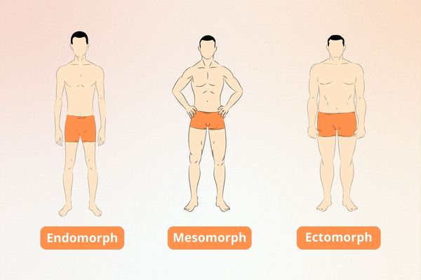 Sheldon's Classification of Personality 