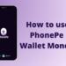 How To Use PhonePe Wallet Money