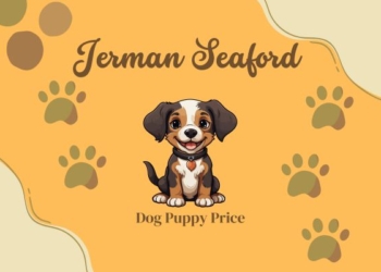 Jerman Seaford Dog Puppy Price