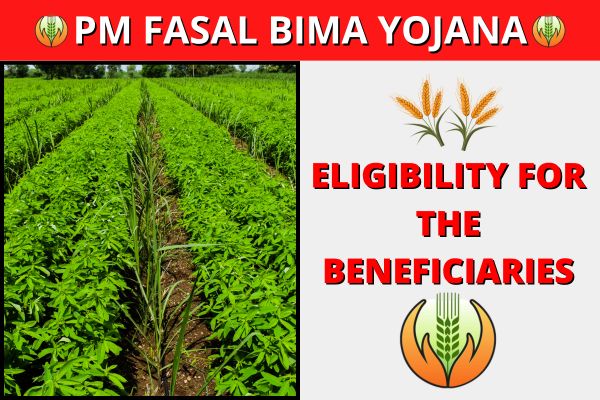 Eligibility for the Beneficiaries